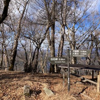 ん〜。景色なし😢