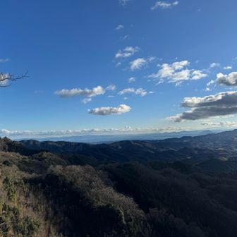 ここからも別府湾
