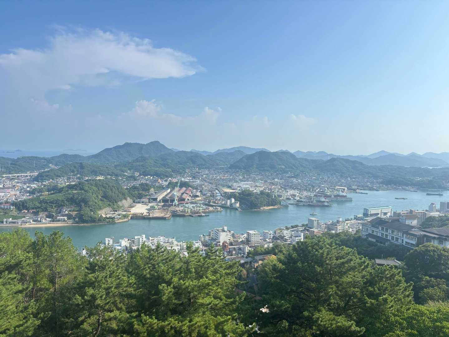 千光寺山ロープウェイ 山麓駅-千光寺-千光寺山 往復コースの写真