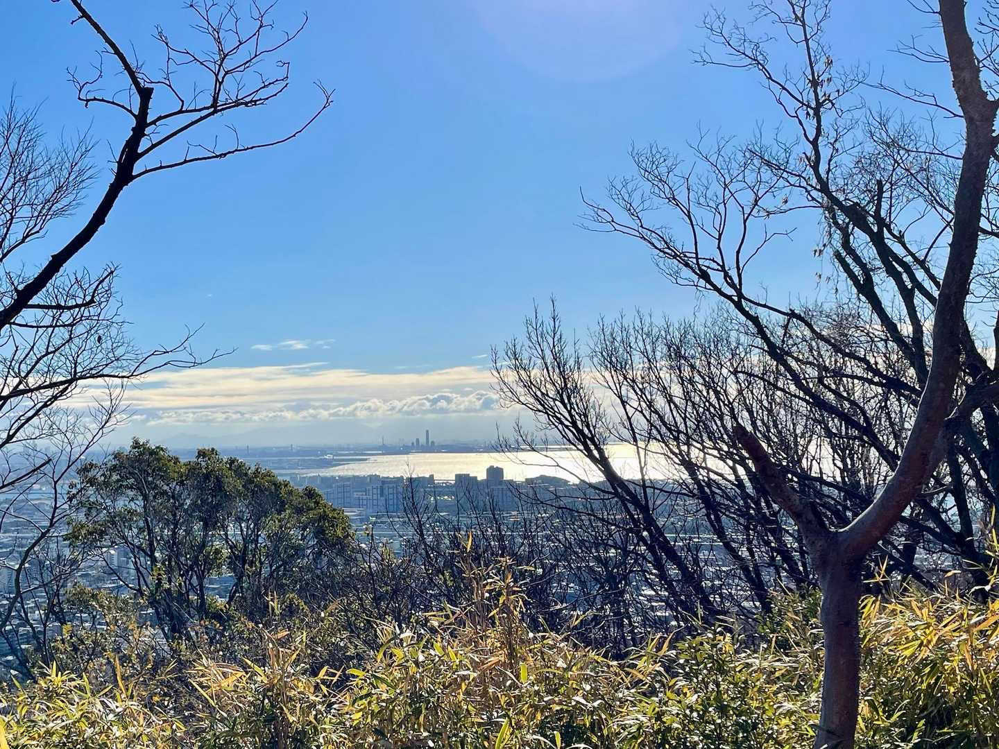会下山遺跡登山口-金鳥山-保久良神社-岡本駅 縦走コースの写真