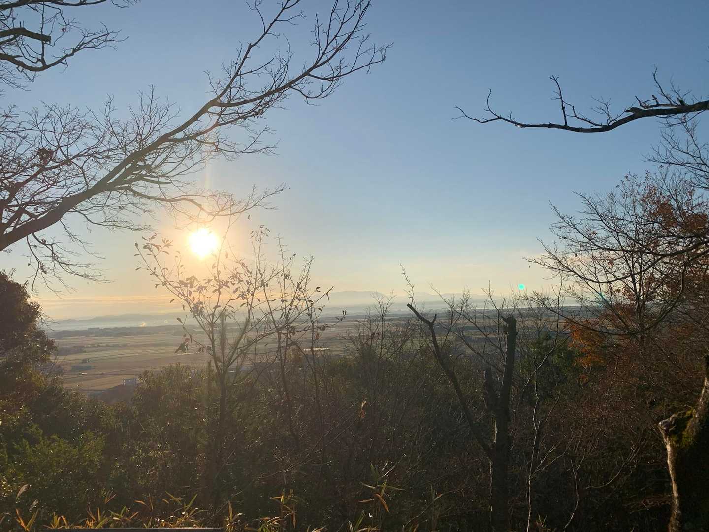 晴れてます☀️