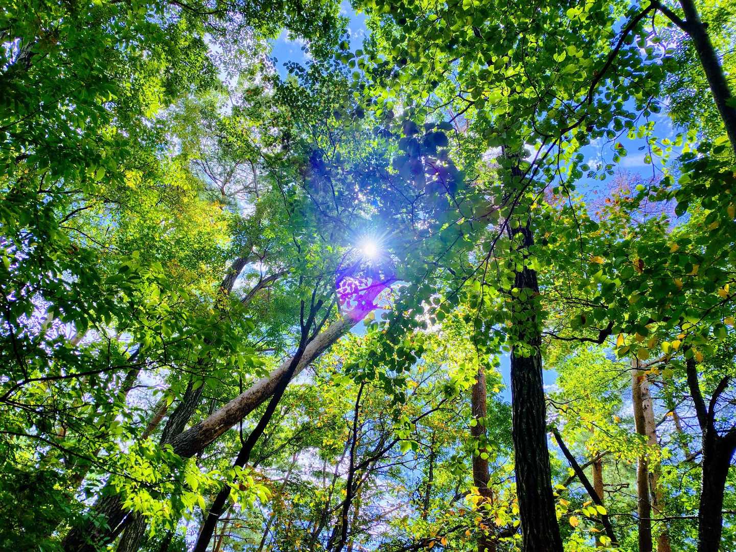 お昼前後の数時間が晴れ予報☀