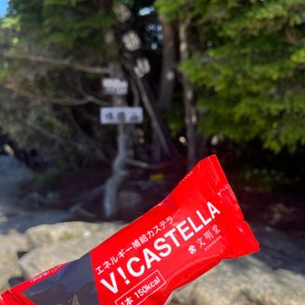 初めて購入した文明堂のカステラ
原材料もシンプルで、美味しい