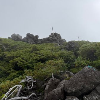 大岳山頂が見えました