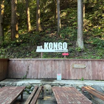 登りは千早本道から。