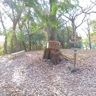 (42)第７にして沼津アルプス最奥の大平山山頂355m踏破でフィニッシュです🏁
時間があれば奥沼津アルプスまで足を伸ばしたいけど、スタート地点に戻る行程や、何より膝が“笑う”の超えて“大爆笑”しそうな兆候があったので今回はここまで↩️