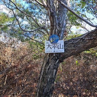 44🔺　最後のランドマーク大平山です。