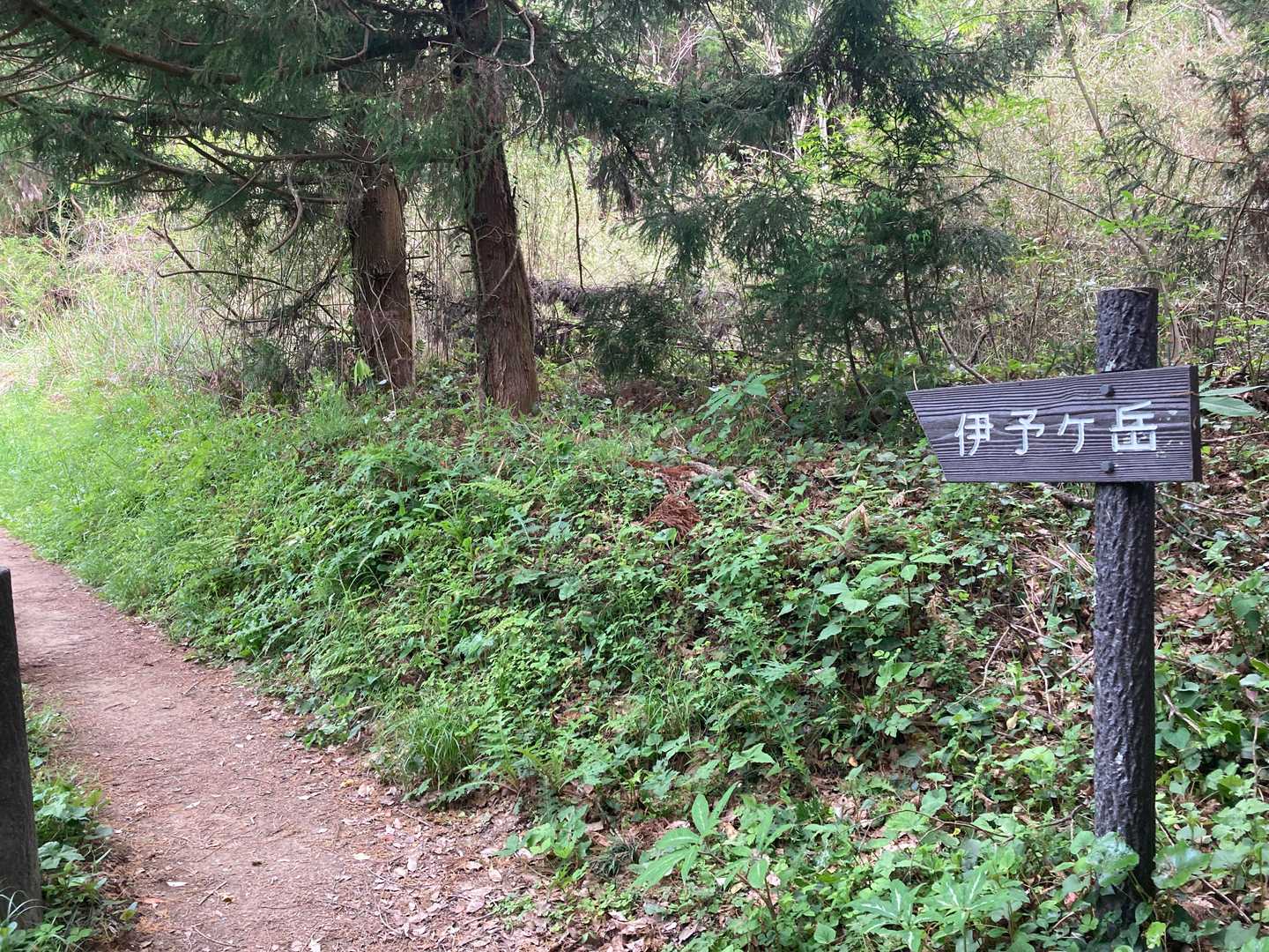 当初、伊予ヶ岳の南峰に登ってから北峰へ向かう周回コースの予定でしたが