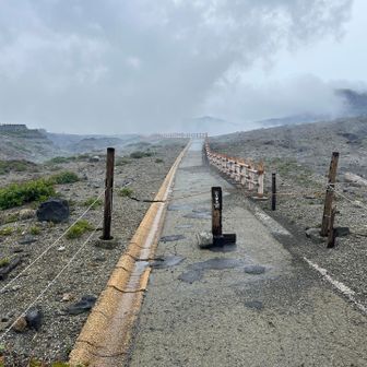 残念ながら今日は立ち入り禁止！