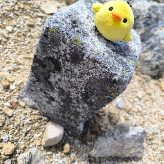 グレーピーク三ツ岳の三角点