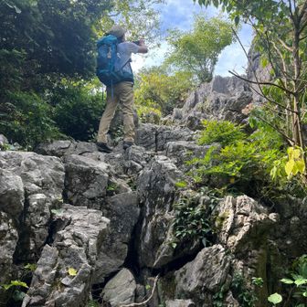 ここを登って