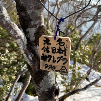 二等三角点
點名へ佐目村