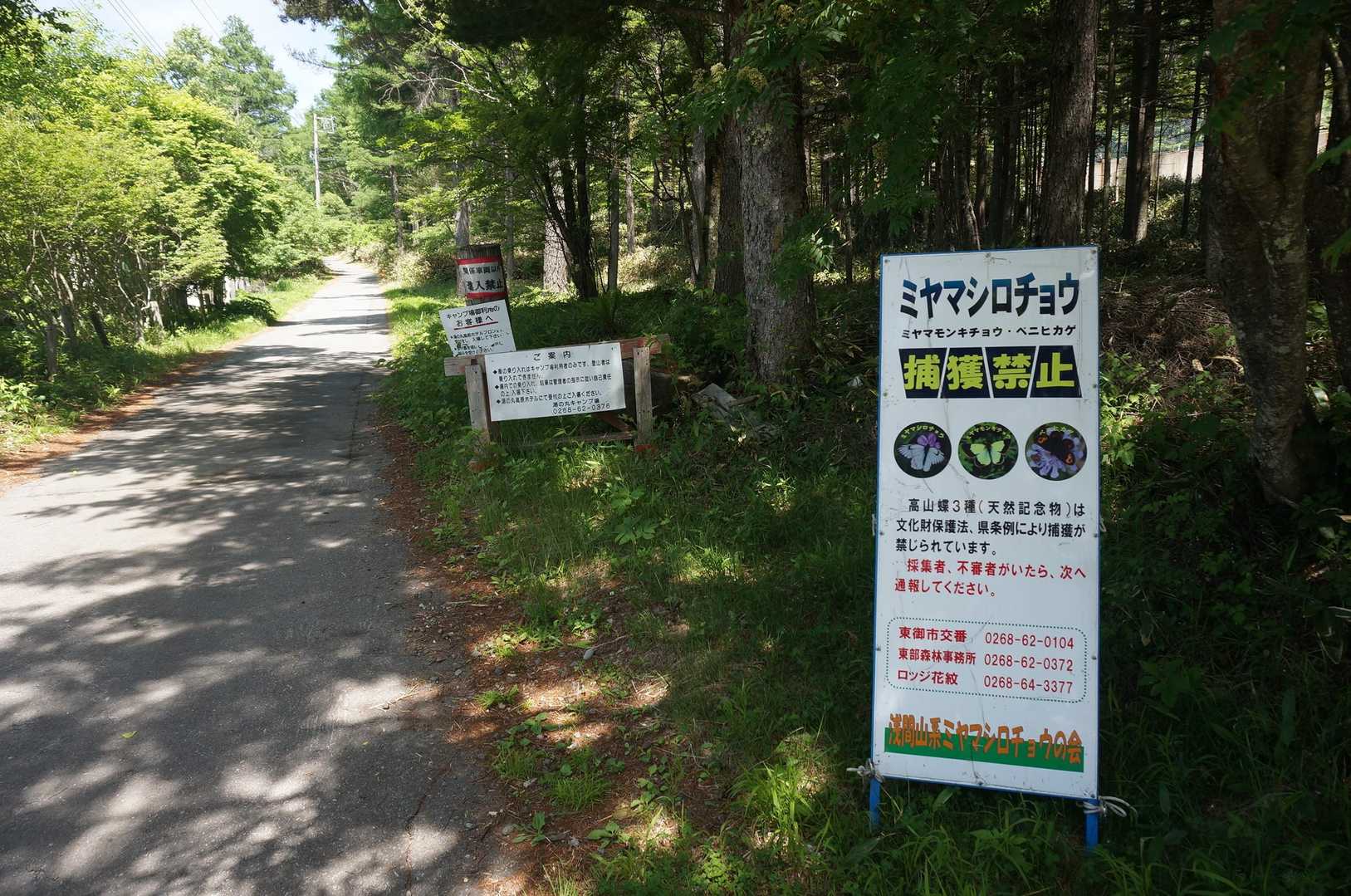 10時スタートなり✊
まずは舗装路歩きから始まり烏帽子岳を目指します。