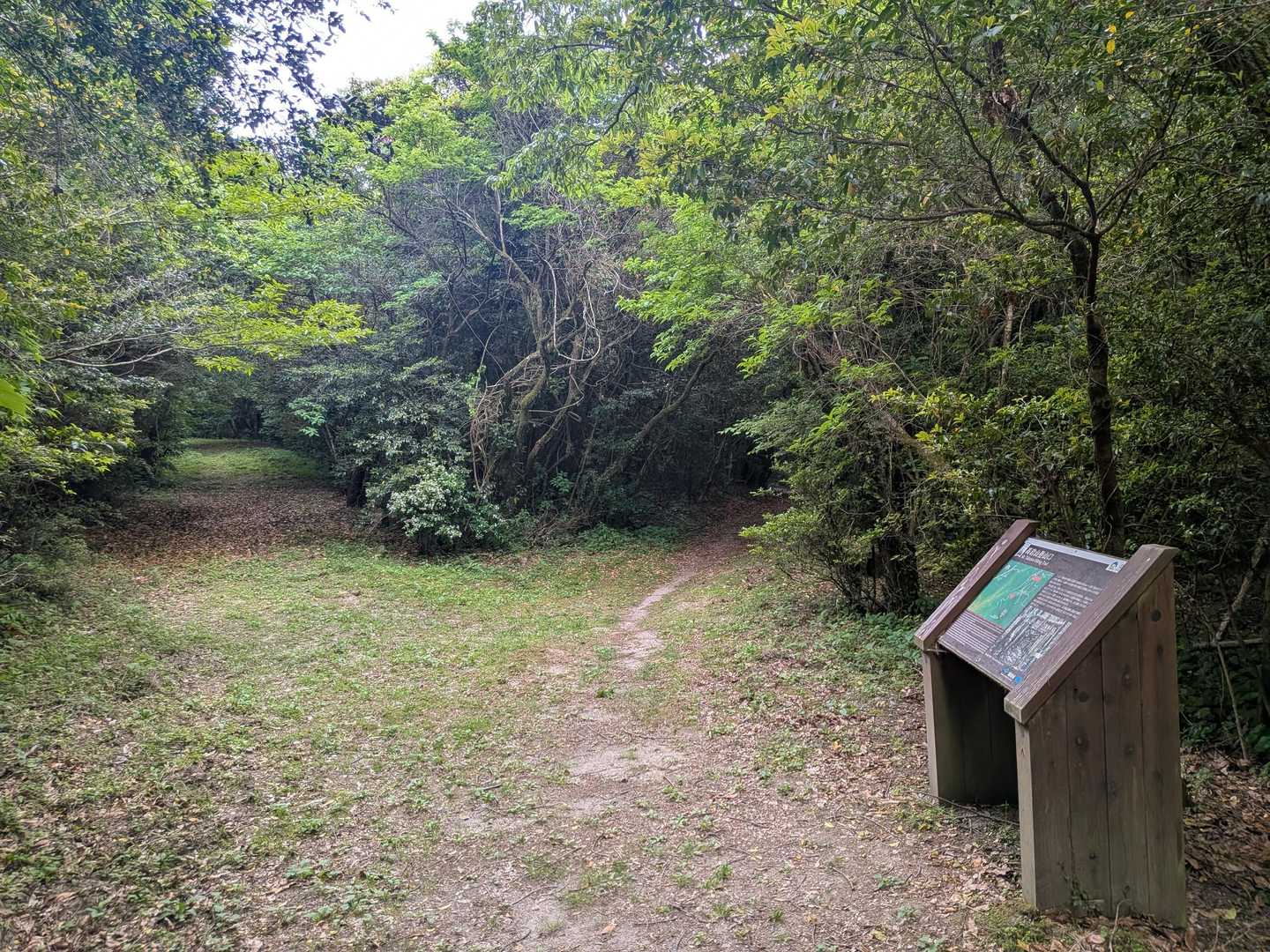 高岩山 往復コースの写真