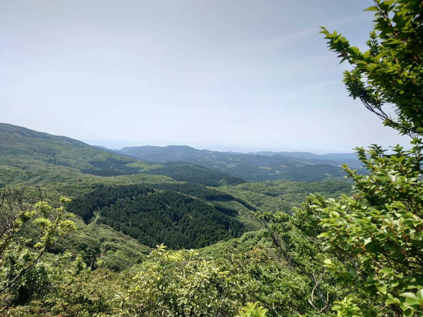 鬼ヶ鼻岩に行く途中はちょこちょこ開けてます✨