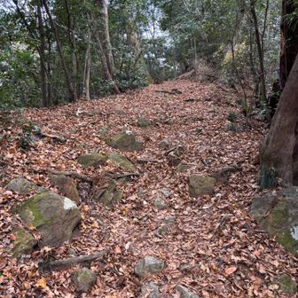 この辺りともう少し上の方に、落ち葉に隠れた岩があるので特に降りは注意です