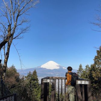 とみー