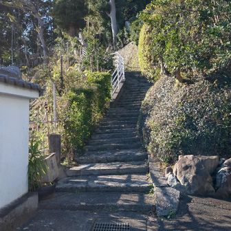 お次はココから😉
既に暑くて上着を脱ぎました😅💦