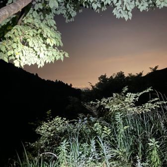 市内の夜景が綺麗です。