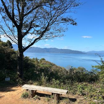ホオジロ広場のベンチ