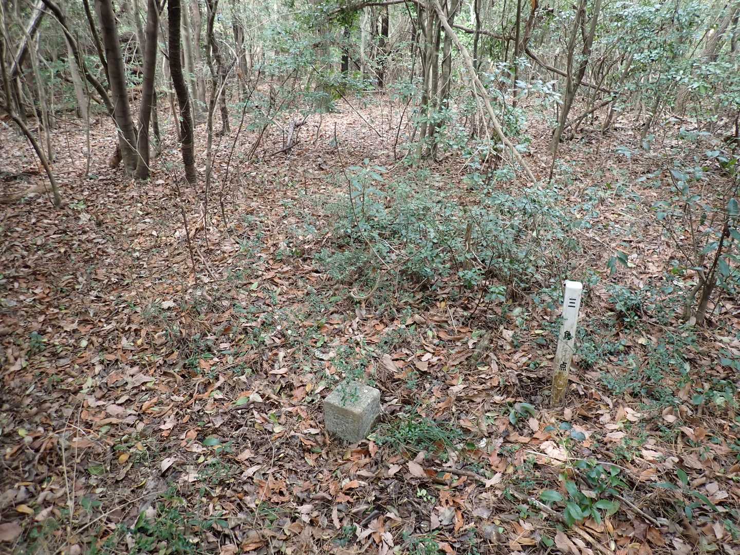 三角点が出てきました。