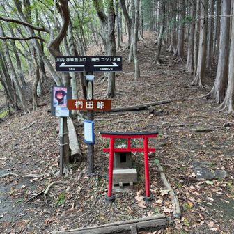 梅田、コツナギ橋方面へ