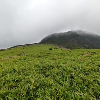 扇ヶ鼻を見ながら、岩井川への草原歩き