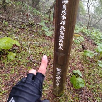 おっ！東海自然歩道　最高標高地点！
YAMAPでは、ここが姫二と出てきた🤔