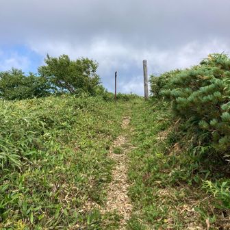 前目国内岳山頂(^^)
ここから降り。