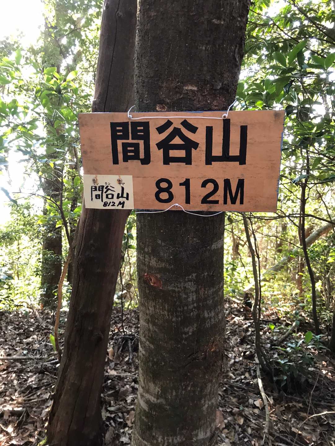 間谷山の最新登山情報 / 人気の登山ルート、写真、天気など | YAMAP