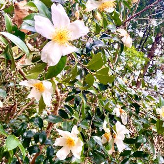 君の名は？
最後に🤍⚪️🤍⚪️癒されました