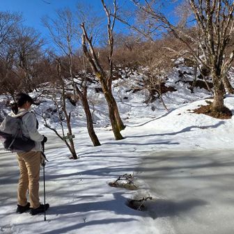 乗れちゃいそうにカチコチ