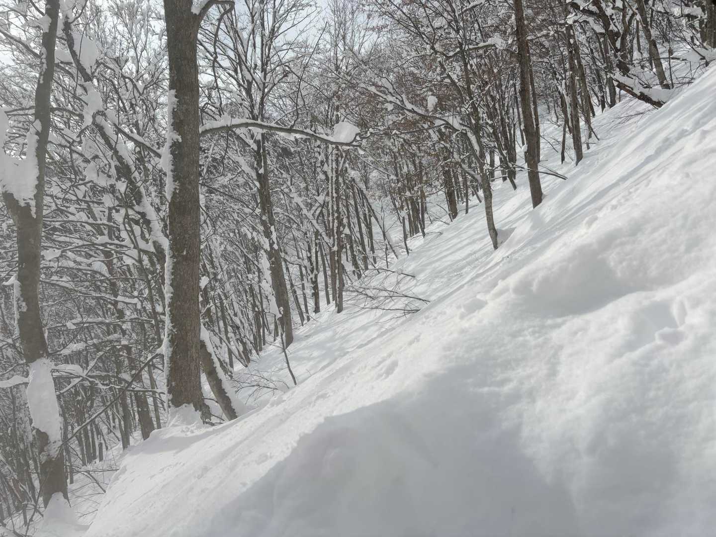さすが西黒尾根
登り始めで急登の約45度