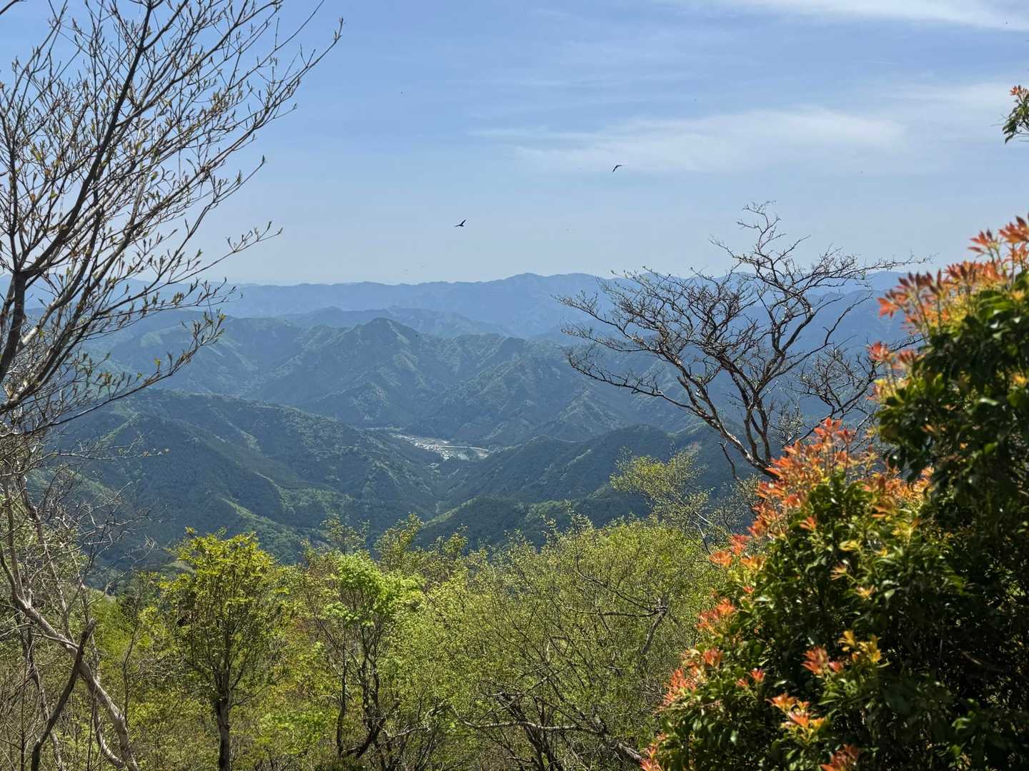 修験業山-栗ノ木岳-若宮峠 周回コースの写真