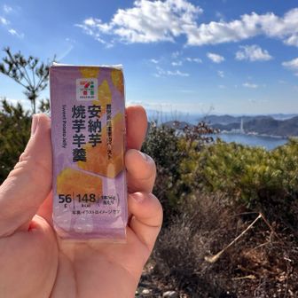 お気に入りオヤツ
安納芋芋羊羹🍠
山頂には結構、人がおられました
そして、殆どの方がお食事されてました🤭