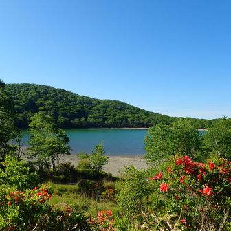 沼とは思えないほどの透明感・小沼✨