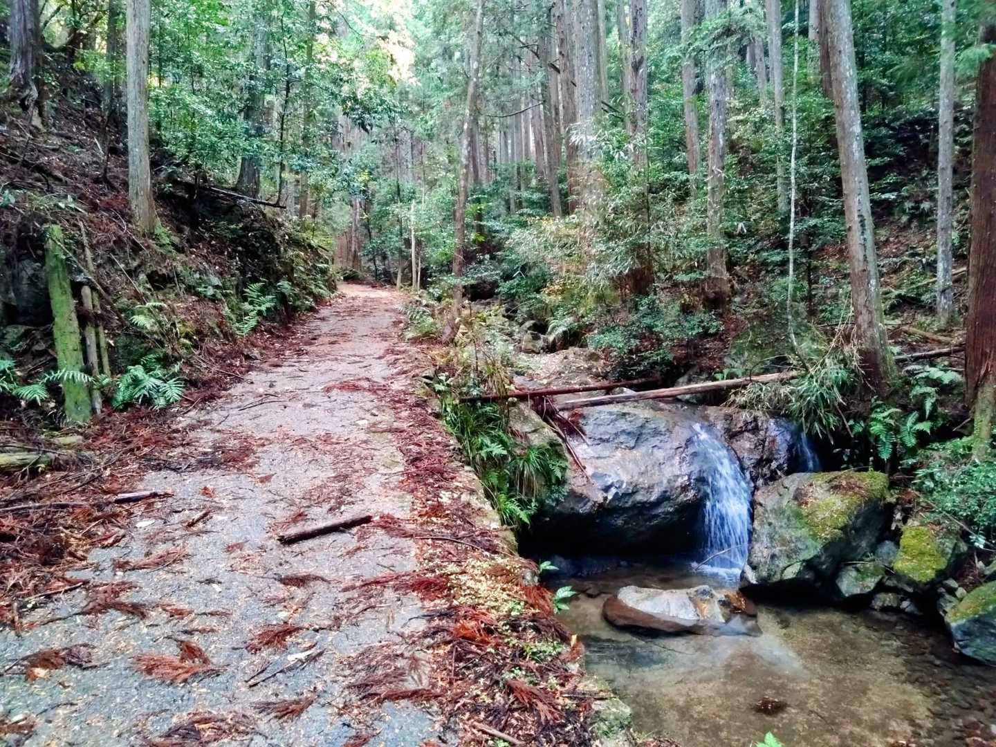 渓谷沿い歩き🚶