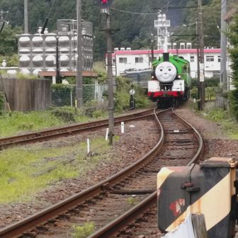 ギリギリ間に合った。蒸気機関車パーシー号
は、福用駅で停車し(動画有り)
蒸気機関車トーマス号の通過(動画無し)