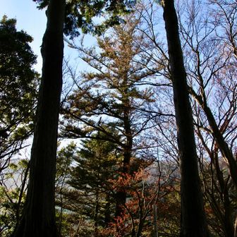 鍵掛。

迷いやすい場所イケメン部門ベストワン🐶です。