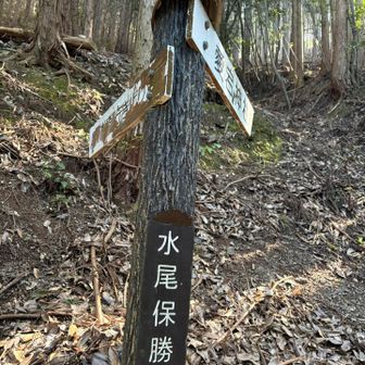 左のきつい方に