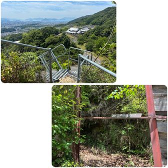 ・帰りは、天空の階段経由🪜
・大茶臼山登山口（迂回ルート）
　ひっつきむし注意ゾーン、1枚目の右の写真のところに出ます🌿🚫