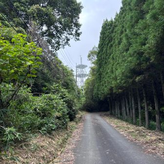 あれが山頂？ロードをとぼとぼ歩きますが、思った以上に車が通ります