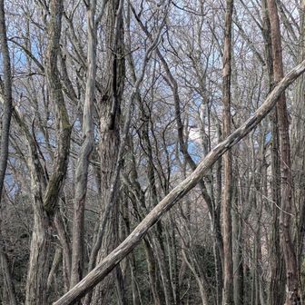 奥多摩湖がかすかに