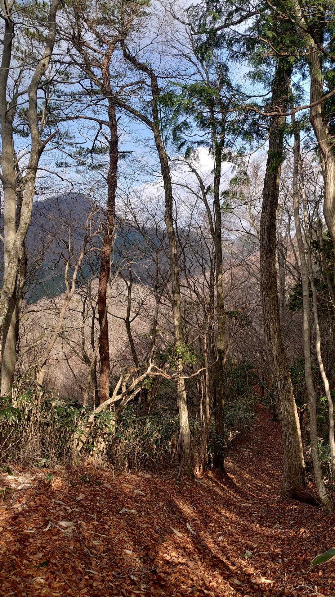 莇ヶ岳 周回コースの写真
