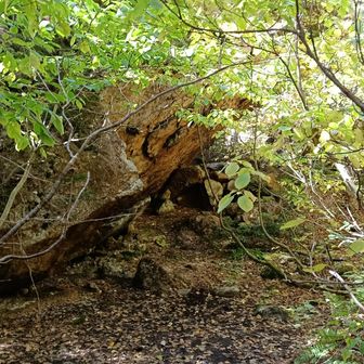 かつてウォルター・ウェストンも泊まった赤沢岩小屋