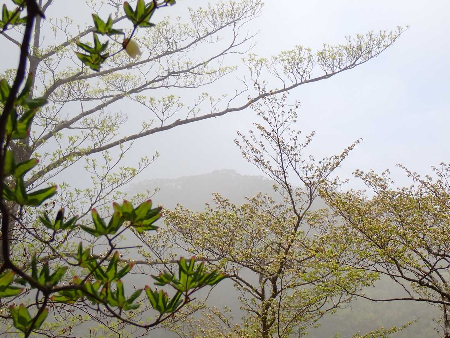 この雰囲気、やはり良いのだ👻
