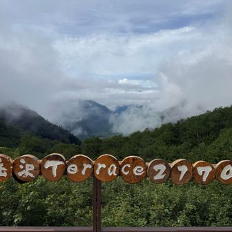 ガスい。早々に景色を諦める。