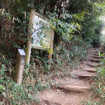 ようやくトレイルイン