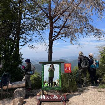 リスも鳥も出て来てくれません😅
