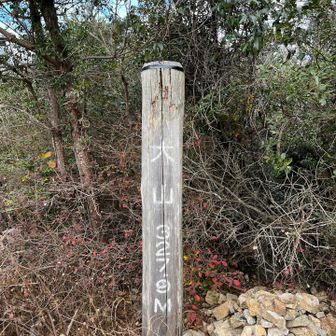 渥美半島の頂上